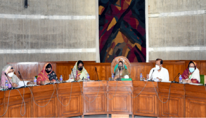 JS body for fresh projects to provide training to women