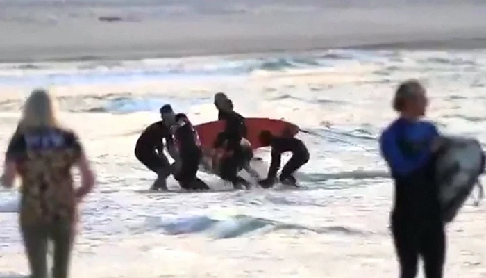 Man dies in shark attack at Australian beach