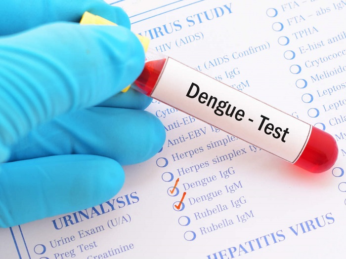 256 dengue patients admitted to hospitals in 24 hours: DGHS