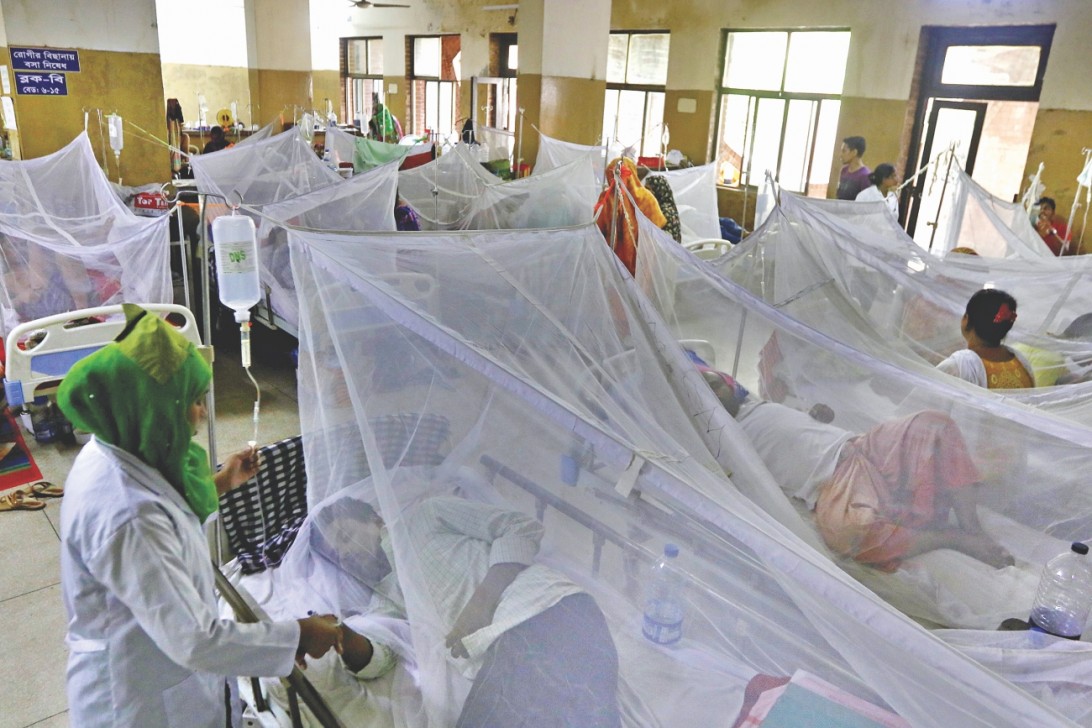 229 more hospitalised with dengue