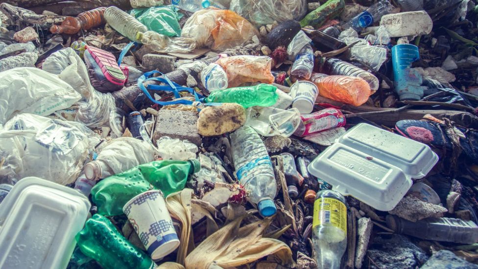 Advertising regulator to clampdown on greenwashing ads