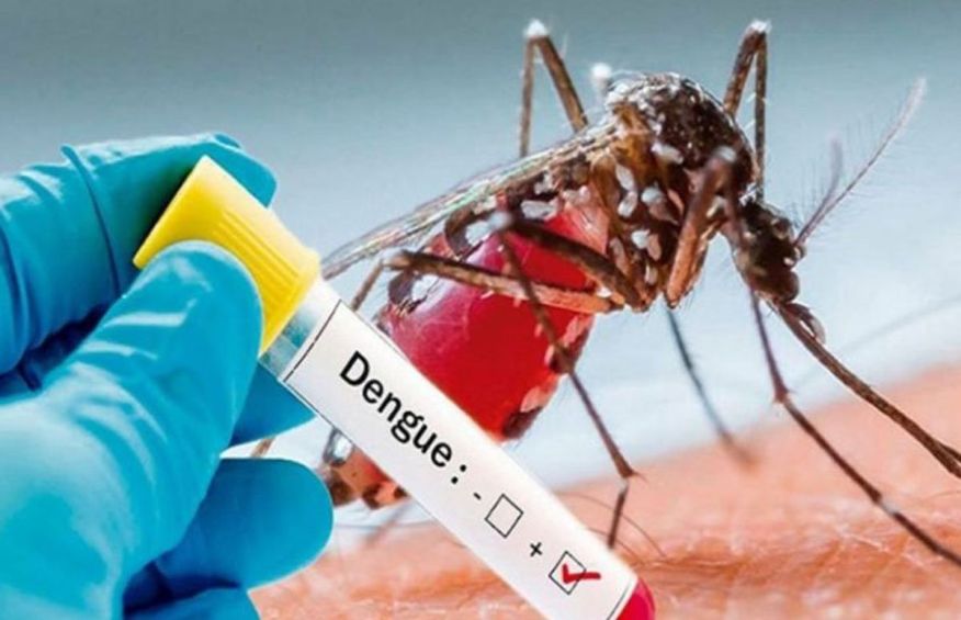 Dengue fever: 2 patients die, 217 hospitalised in 24 hours
