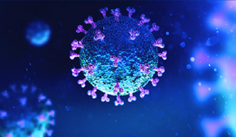 Covid-19: 17 more people die in Bangladesh