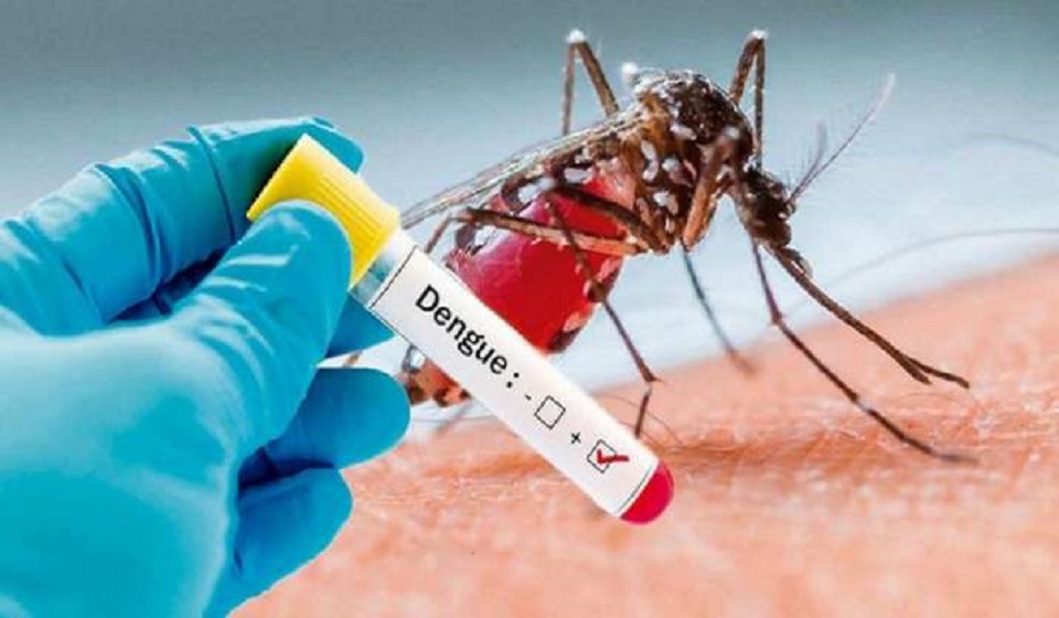 182 dengue patients hospitalised, one more die in last 24 hours