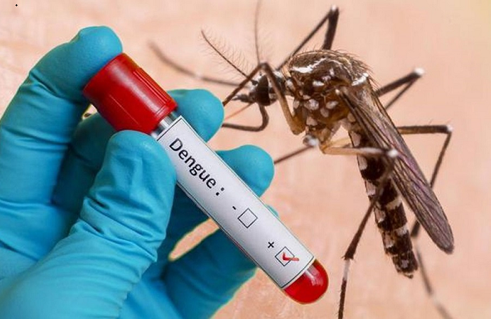 Dengue: 75 more patients hospitalised in 24 hrs