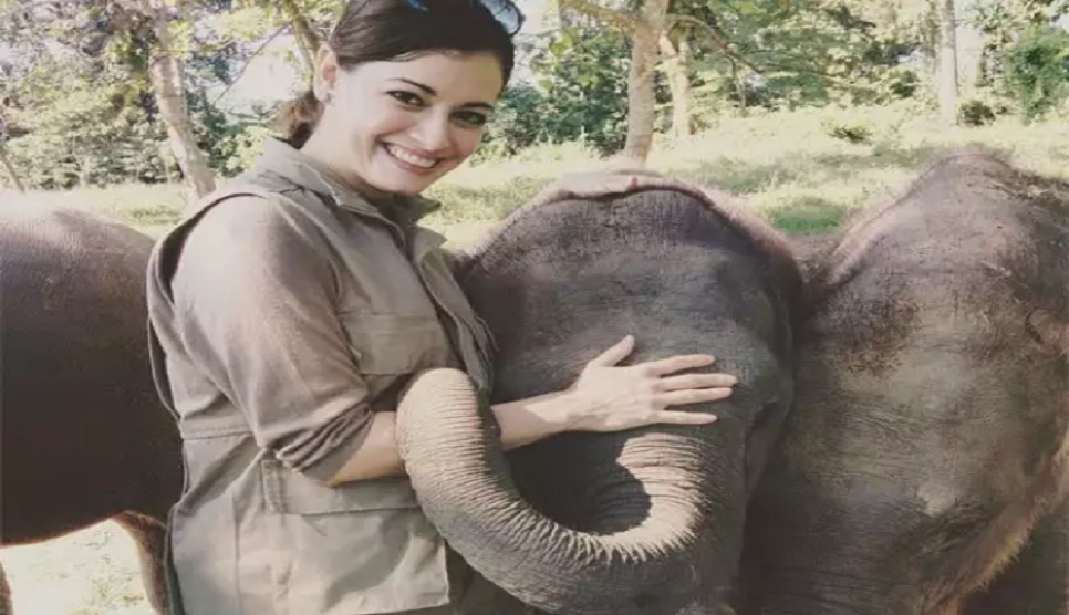Dia Mirza pledges Rs40 lakhs for Covid-19 affected forest warriors
