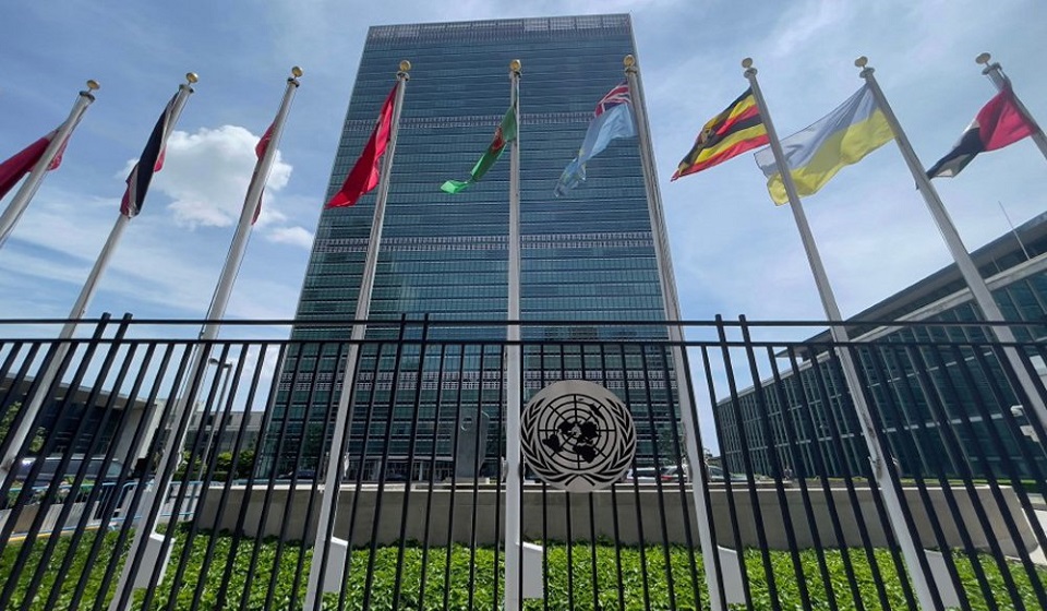 UN biodiversity summit postponed over new Covid variant
