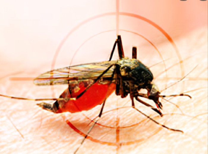 This year’s Dengue fatalities rise to 100 as 2 more die in 24 hrs 