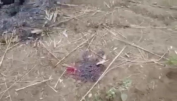 Myanmar troops burn alive 11 in retaliation attack