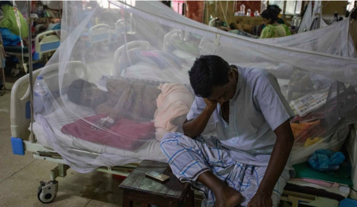 Dengue: 9 more patients hospitalised in 24 hrs