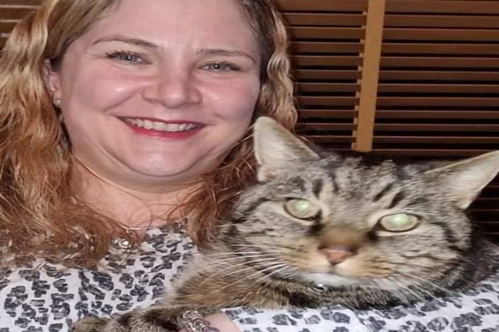Pet cat missing for 11 years reunited with owners
