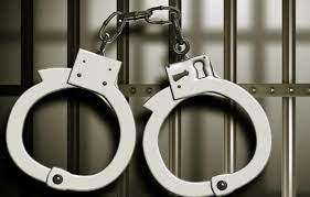 2 Bangladeshi brothers awarded jail sentence in India for illegal stay  

