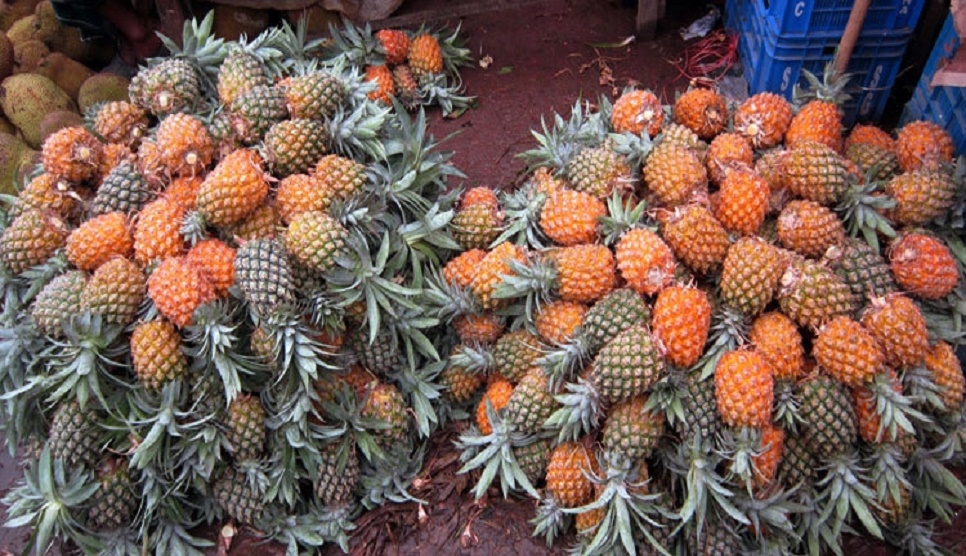 Price of pineapples soar amid Ramadan