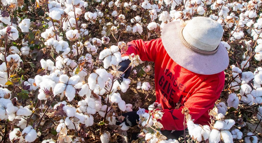 China ratifies international forced labour conventions