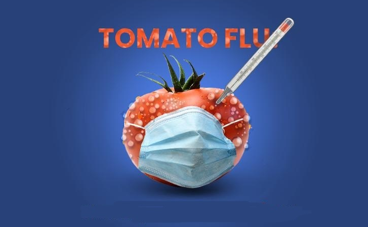 26 'tomato flu' cases in Odisha