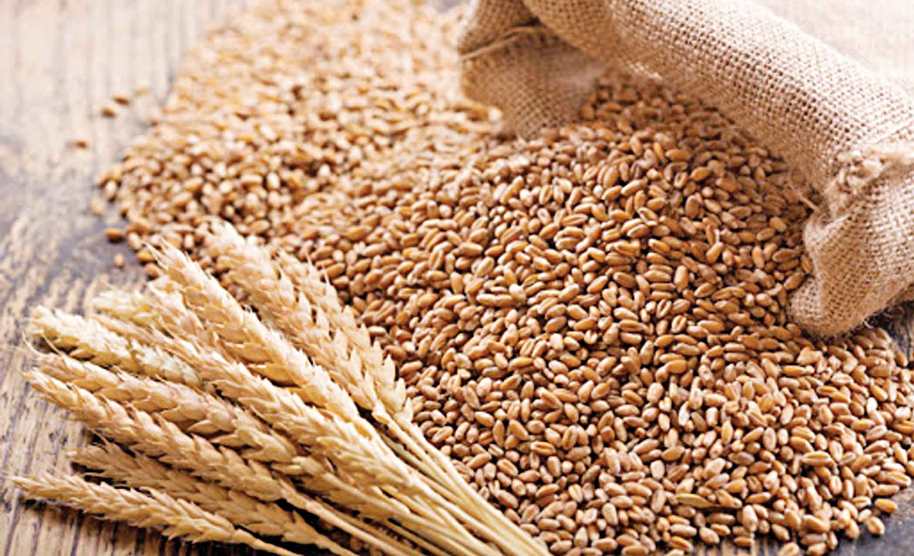 Bangladesh to import 10 lakh tonnes of wheat from India