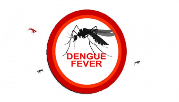 Dengue: 17 new patients hospitalised