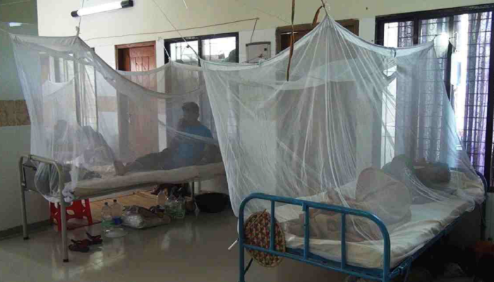 Dengue cases keep rising: 31 more hospitalised in 24 hrs