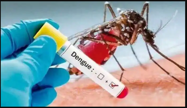 Dengue: 21 new patients hospitalised