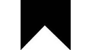 AL leader Mohsin Sarkar's mother dies

