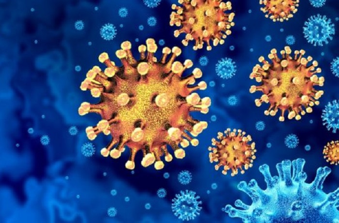 Bangladesh reports 4 Covid-19 deaths, 446 positive cases