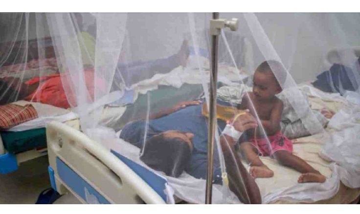 53 new dengue patients hospitalised in 24 hrs