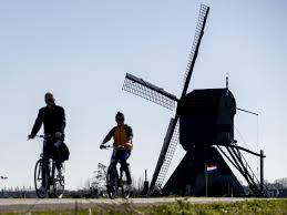 World could save 700 mn tonnes of CO2 if people cycled more, study shows  

