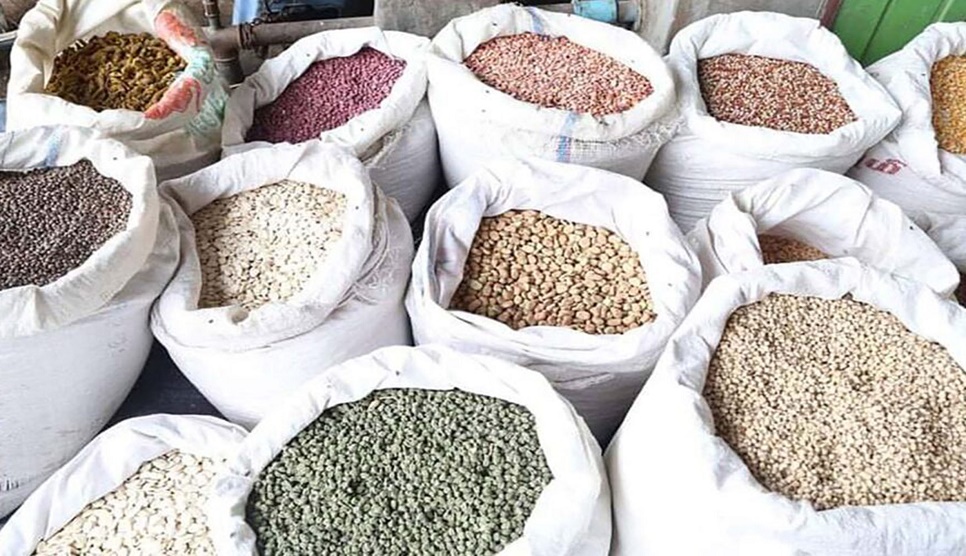 Myanmar exports over 558,700 tons of beans, pulses in April-July