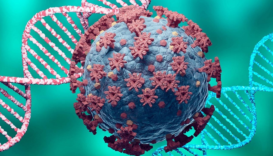 Bangladesh sees 2 more Covid deaths, 310 cases