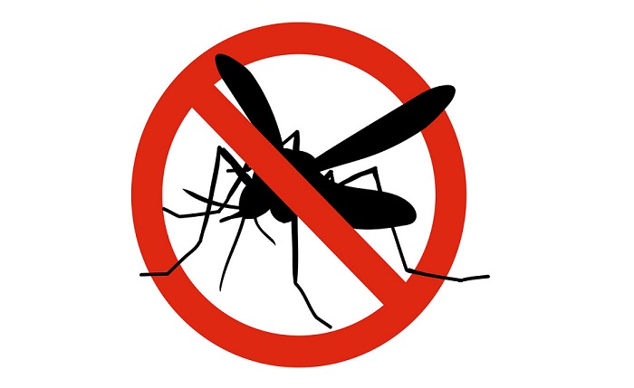 Dengue death toll rises to 50: DGHS