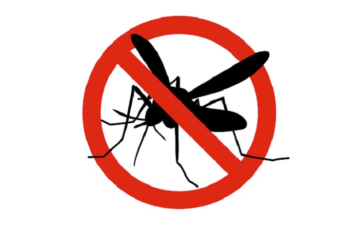 240 dengue patients hospitalised in 24 hrs