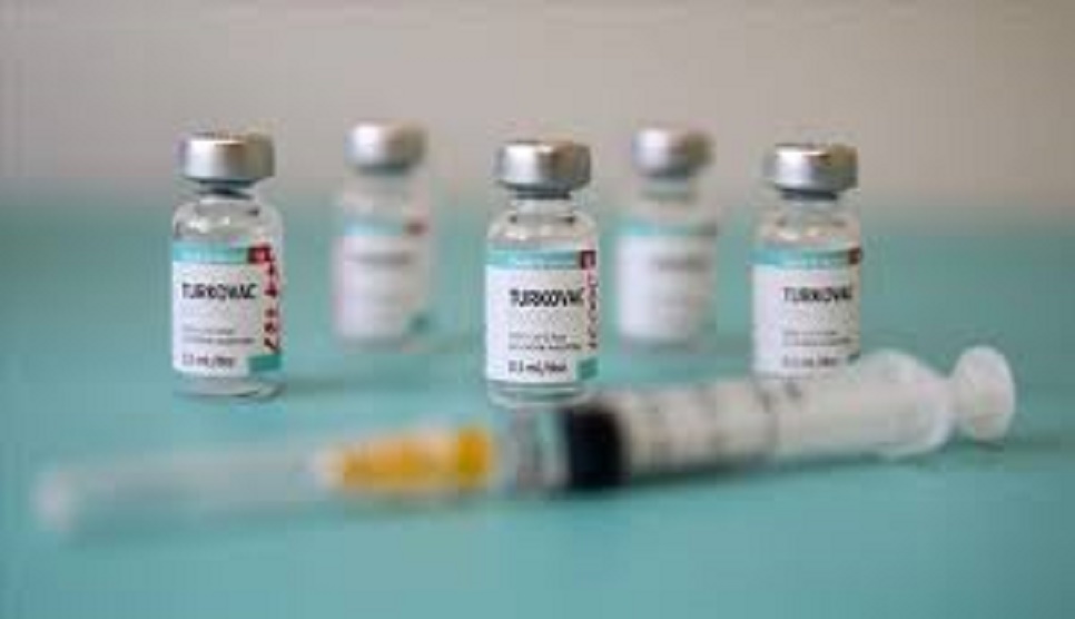 Turkey approves emergency use of domestic COVID-19 vaccine