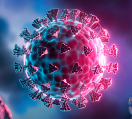 Bangladesh logs another death, 29 Covid cases in 24 hrs