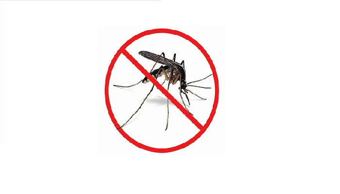 Dengue: 32 more patients hospitalised in 24 hrs