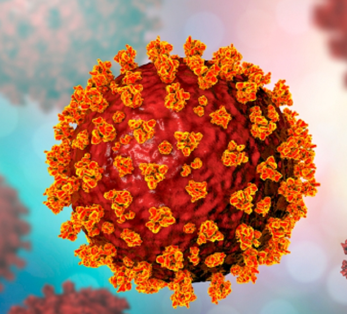 Bangladesh reports zero Covid-19 death, 21 positive cases