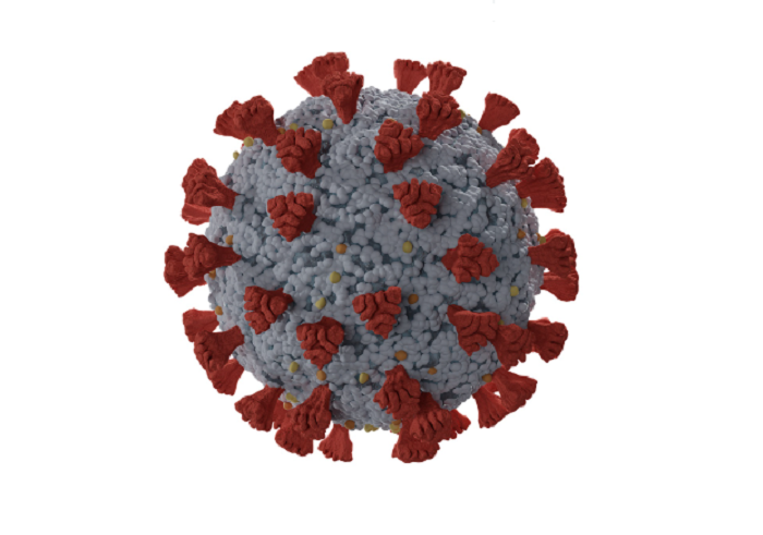 Bangladesh logs 13 more Covid cases