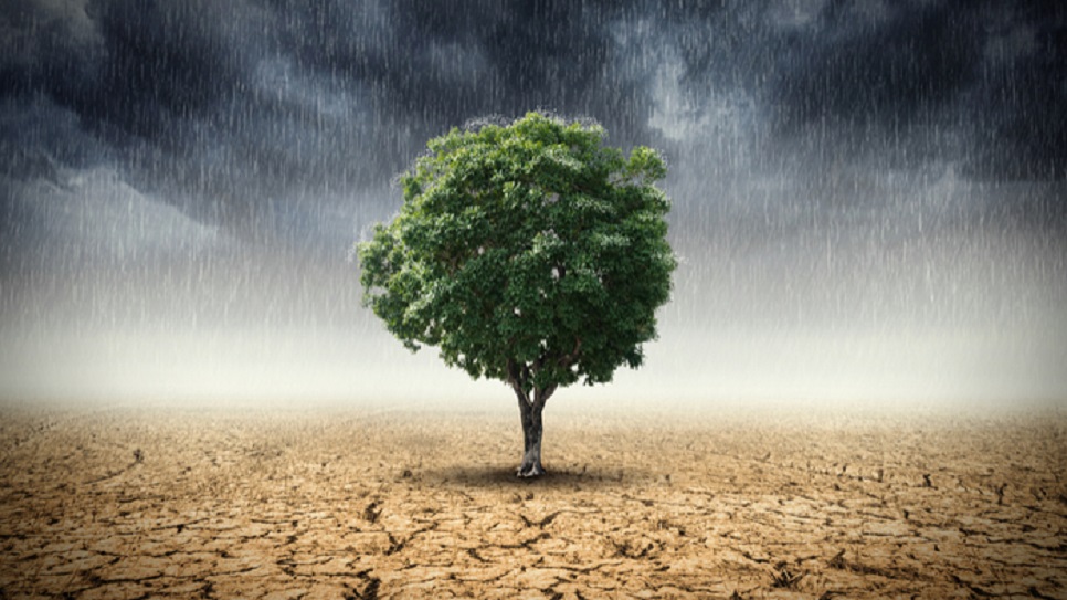 Climate change affects mental health in Bangladesh

