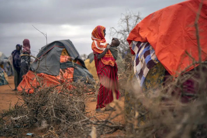 Malnutrition rises in pregnant women in 12 at-risk countries: UN report