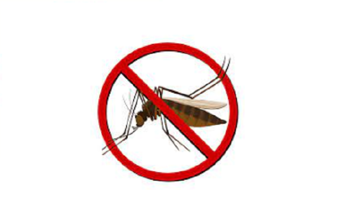 3 more dengue patients hospitalised in 24 hours