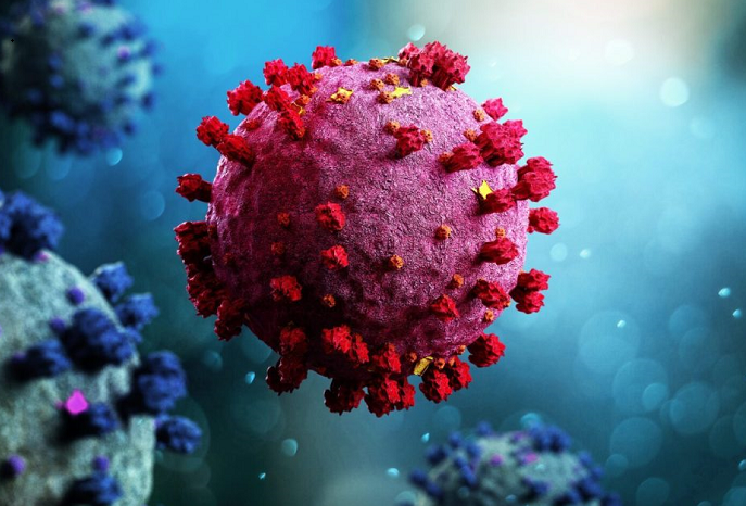 Bangladesh registers 5 more Covid-19 cases in 24 hours