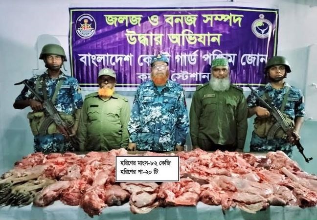 Coast Guard seizes 82 kgs of venison at Koyra