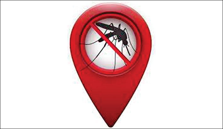 Dengue cases gallop on