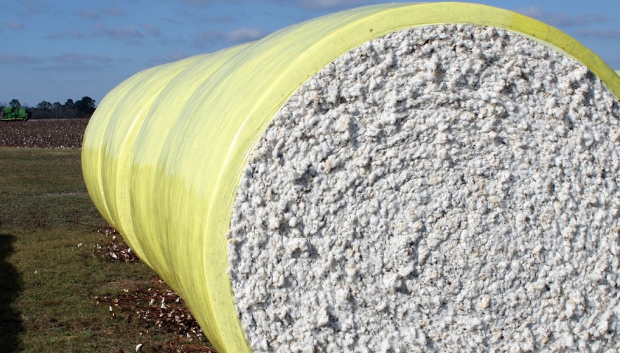 US welcomes Bangladesh’s lift of cotton fumigation on arrival requirement