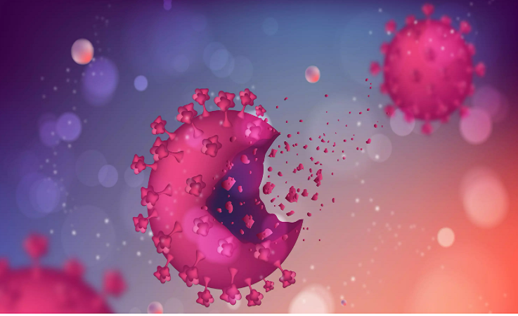 Bangladesh reports 65 more Covid cases in 24 hrs