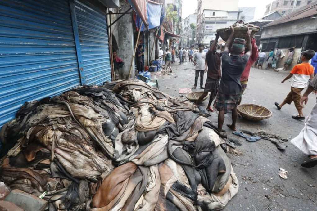 Govt fixes rawhide prices ahead of Eid-ul-Azha