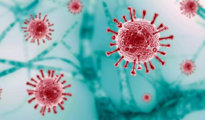 Covid-19: 62 more cases reported in 24 hours