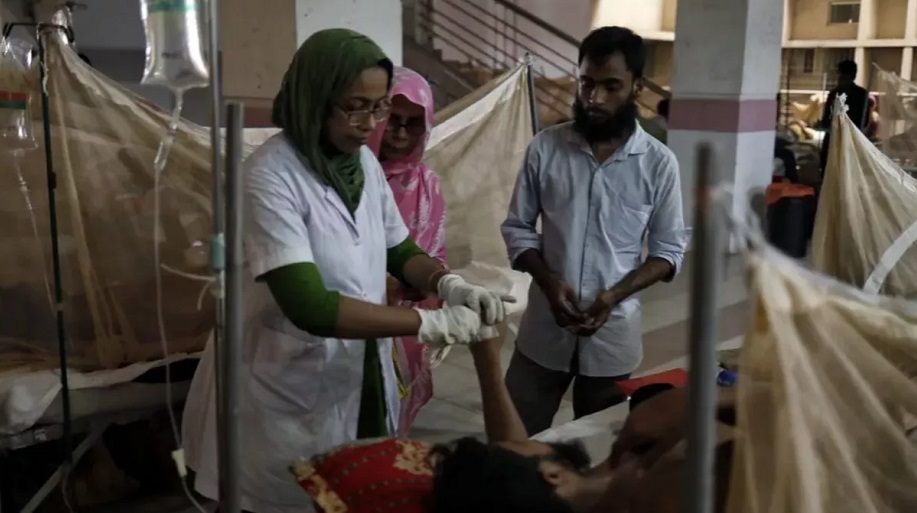 Dhaka's 2 city corps falters in face of dengue outbreak