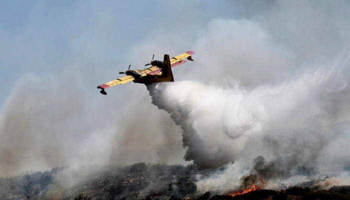Greek ecosystems face increasing fire risk, experts say