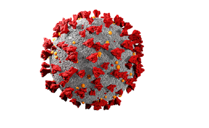 Covid-19: 22 more cases reported in 24 hours