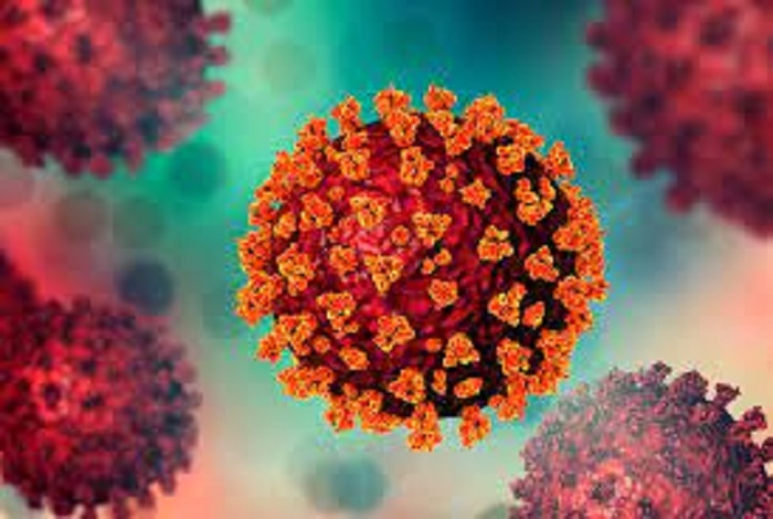 Covid-19: 41 more cases reported in 24 hours